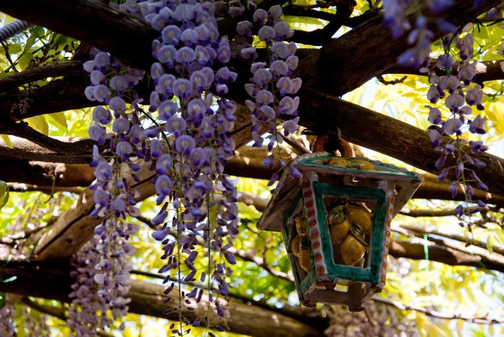 Il Roseto B&B Ravello Zimmer foto