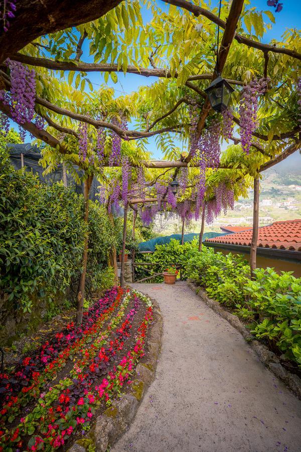 Il Roseto B&B Ravello Exterior foto